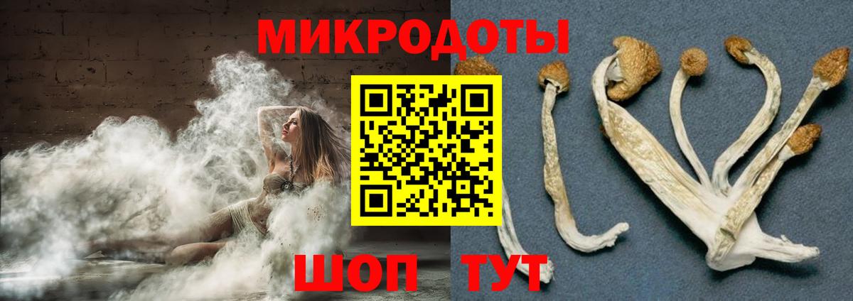 Псилоцибиновые грибы GOLDEN TEACHER  купить  цена  Белорецк  Вход с VPN 